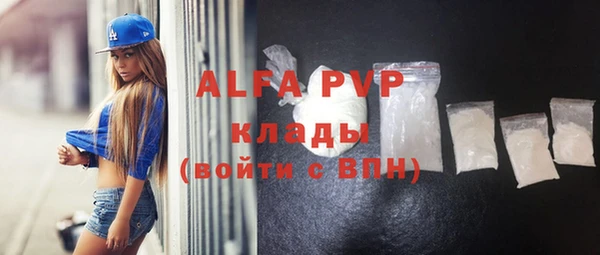 индика Медвежьегорск