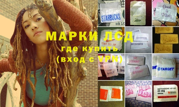 кокс Михайлов