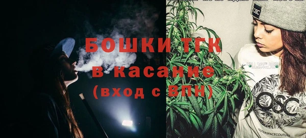 сатива Наволоки