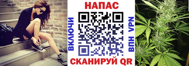 продажа наркотиков  Новопавловск  Шишки марихуана Amnesia 